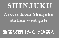 NINJA SHINJUKU